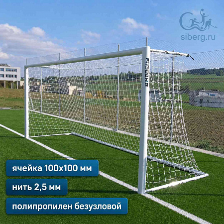 Cетка для футбольных ворот 2,5 мм ячейка 100х100 мм (пара)